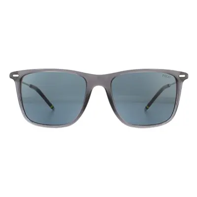 Polo Ralph Lauren Sunglasses PH4163 Transparent Shiny Grey Grey