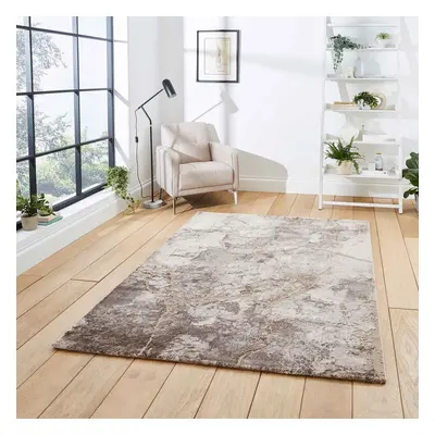 (50032 Beige/Silver, x cm) Gold Silver Modern Rugs Abstract Small Large Living Room Rug Bedroom 