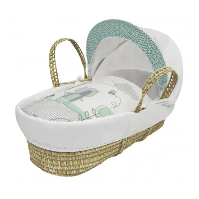 Tiny Ted Mint Palm Moses Basket