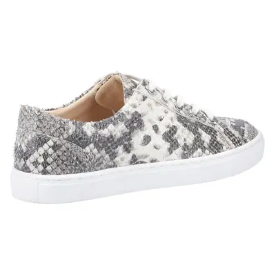 (Grey, (Adults')) Hush Puppies Tessa Suede Women's Python Trainers