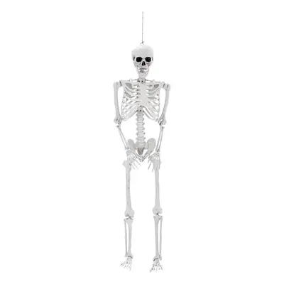 (155cm) Posable Skeleton Model Halloween Party Decoration Props