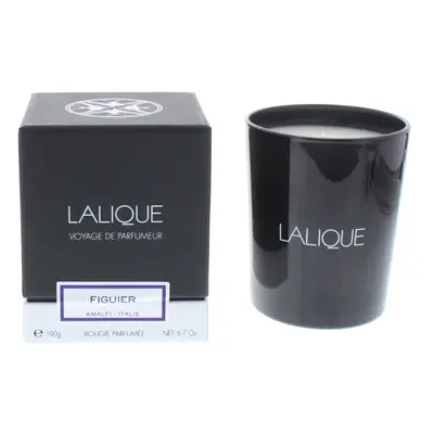 Lalique Candle 190g - Figuier Amalfi