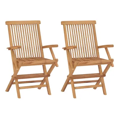 vidaXL 2x Solid Teak Wood Folding Garden Chairs Outdoor Seating Furniture