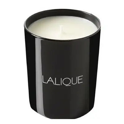 Lalique Candle 190g - Safran Mashhad