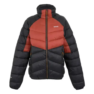 (L, Red Ochre/Black) Regatta Mens Dalent Padded Jacket