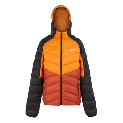 (S, Fox/Red Ochre) Regatta Mens Dalent Hooded Insulated Jacket