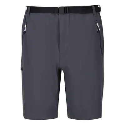 (54R, Seal Grey) Regatta Mens Xert III Stretch Shorts