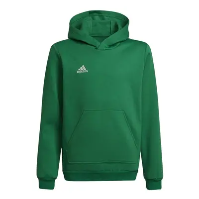 Sweatshirt for kids adidas Entrada Hoody green HI2143 140cm