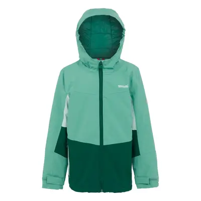 (5-6 Years, Dusty Green/Rainforest) Regatta Childrens/Kids Highton V Padded Jacket