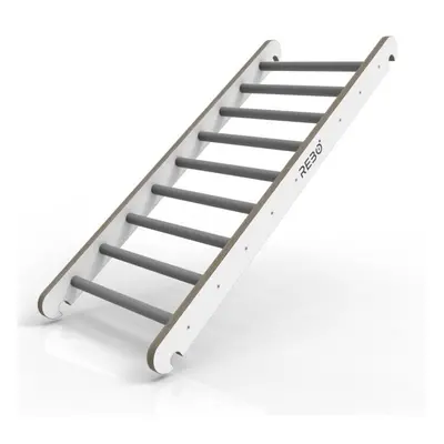 Rebo Montessori Pikler Style Climbing Ladder