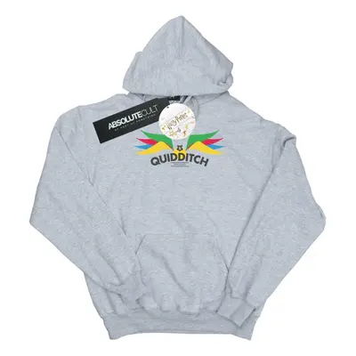 (XL, Sports Grey) Harry Potter Mens Snitch Wings Pastels Hoodie