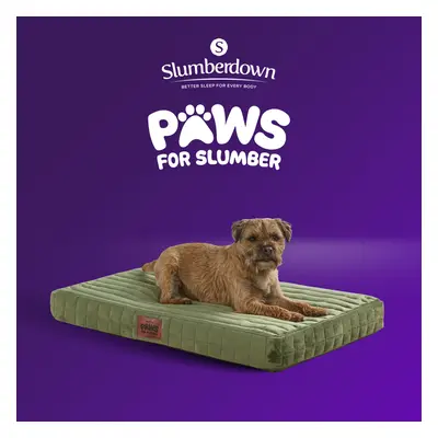 (Green, Medium) Paws for Slumber Orthopaedic Pet Bed