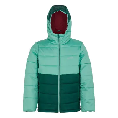 (5-6 Years, Dusty Green/Rainforest) Regatta Childrens/Kids Lofthouse VIII Insulated Jacket