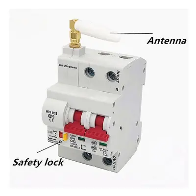 (2P) WiFi Smart Circuit 25A Breaker Automatic Switch Overload Short Circuit Protection Work With