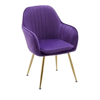 (Purple ) Luxury French velvet Design dining chair T05