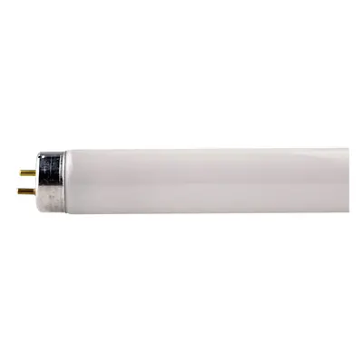 T8 (26mm Diameter) 18watt 2ft Colour Cool White 600mm G13 Fluorescent Tube