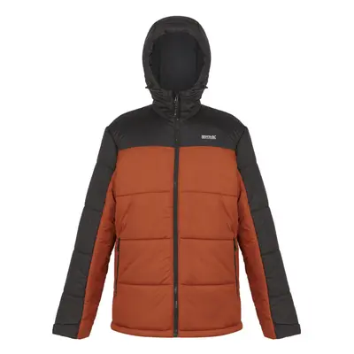 (XXL, Burnt Copper/Ash) Regatta Mens Nevado VII Insulated Padded Jacket