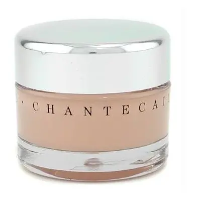 Chantecaille Future Skin Oil Free Gel Foundation Ivory Ounce