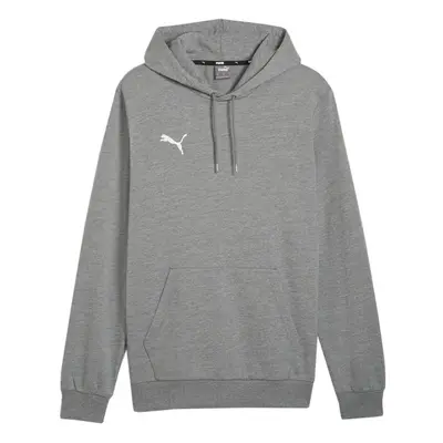 Puma Team Goal Casuals Hoody grey 33