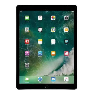 2017 Apple iPad Pro 2nd Gen (12.9-inch Wi-Fi 256GB) Space Gray (Rene