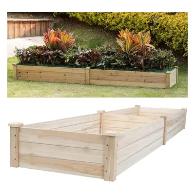 Rectangular Wood Raised Garden Bed Flower Vegetable Plant Seeds Bed