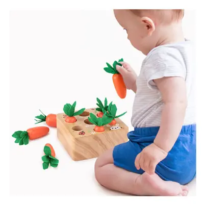 Wooden Educational Toys Set Carrot Shape Matching