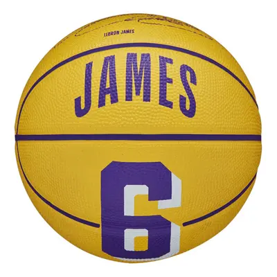 WILSON NBA Player Icon Mini Basketball - Lebron James Mini Size