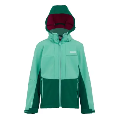 (9-10 Years, Dusty Green/Rainforest) Regatta Childrens/Kids Haydenbury II Soft Shell Jacket