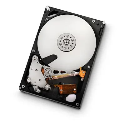 HGST Ultrastar 3.5-Inch 500GB 7200RPM SATA II MB Cache Enterprise Hard Drive with 24x7 Duty Cycl