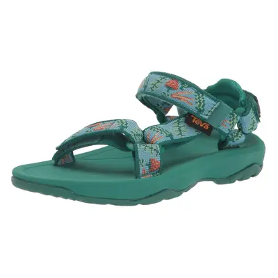 Teva Girls Hurricane XLT Sandal Garden Pack Blue Sky Little Kid