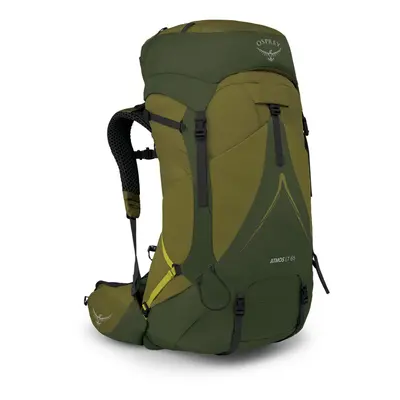 Osprey Atmos Ag LT 65L Mens Backpacking Backpack Scenic Valleygreen P