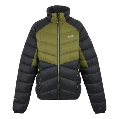 (XXL, Nephrite Green/Black) Regatta Mens Dalent Padded Jacket