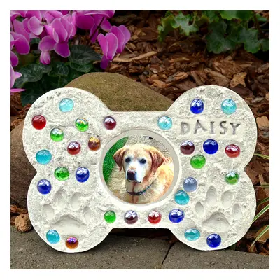 Mosaic Stepping Stone Kit-Pet Photo