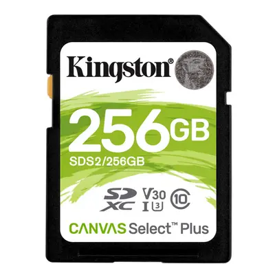 Kingston 256GB SDHC Canvas Select Plus 100MBs Read Class UHSI U1 V10 Memory Card with Frustratio