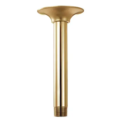 Gerber Plumbing Shower Head Extender with Escutcheon Plate