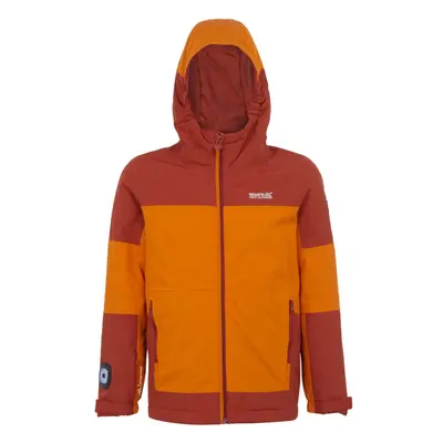 (14 Years, Fox/Red Ochre) Regatta Childrens/Kids Beamz IV Waterproof Jacket