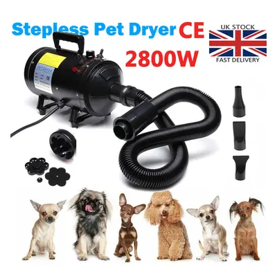 2800W Stepless Speed Dryer Powerful Professional Dog Grooming Pet Hairdryer Blaster with Nozzles