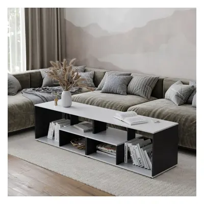 (White/Black) 160cm Large Shelby Abstract Double Coffee Table with Storage Shelves TV Stand