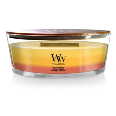 WoodWick Ellipse Scented Candle Tropical Sunrise Trilogy 16oz | Up to Hours Burn Time