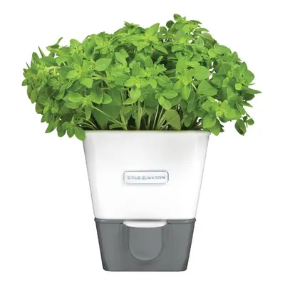 Cole & Mason Self-Watering Potted Herb Keeper