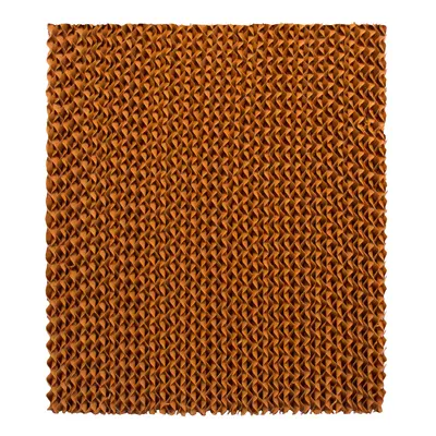 Honeywell Replacement Pads Evaporative Cooler Model CL201AE