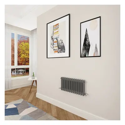 (300x605mm Column) Designer cast iron radiator anthracite all sizes