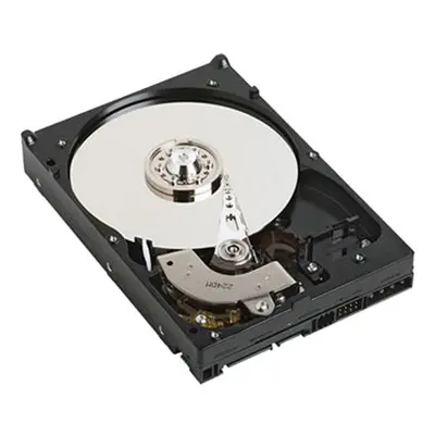 DELL NPOS - to be sold with Server only - 1TB 7.2K RPM SATA 6Gbps 512n 3.5in Cabled Hard Drive