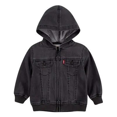 Levi's Baby Boys Hoodie Pebble Grey 24M