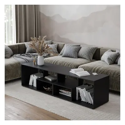 (Black) 160cm Large Shelby Abstract Double Coffee Table with Storage Shelves TV Stand