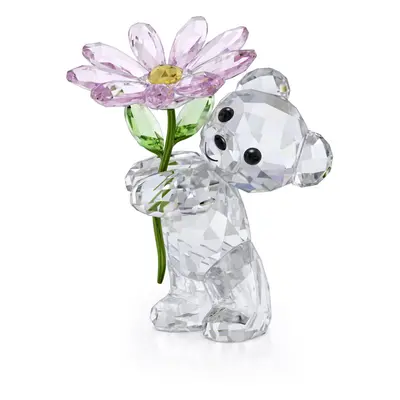 Swarovski Kris Bear A Daisy for You