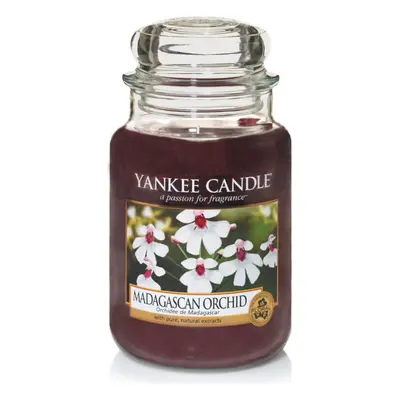 Yankee Candle Large Jar Candle, Madagascan Orchid