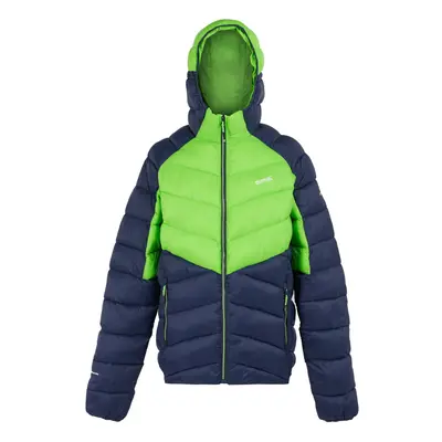 (S, Green Flash/Navy) Regatta Mens Dalent Hooded Insulated Jacket