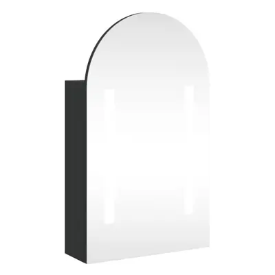 vidaXL Bathroom Mirror Cabinet LED Wall Cabinet with LED Light Arched Black