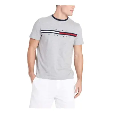 Tommy Hilfiger mens Short Sleeve Logo T-shirt T Shirt Medium grey Hea